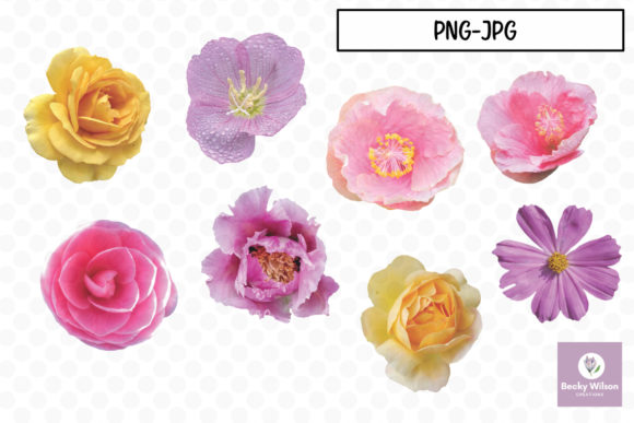Download Real Pretty Flowers Set 02 - Flowers Collection
