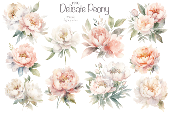 Download Delicate Peone Flowers - Flowers Collection