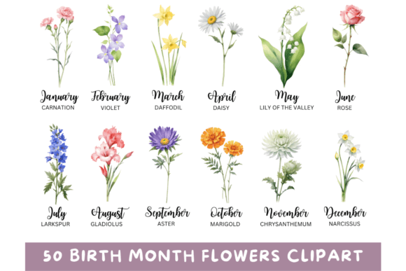 Download 50 Watercolor Birth Month Flowers PNG - Premium Bundle