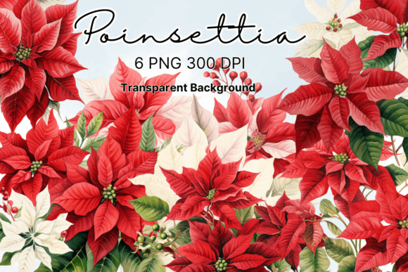 Download Poinsettia Christmas Flowers Clipart - Flowers Collection